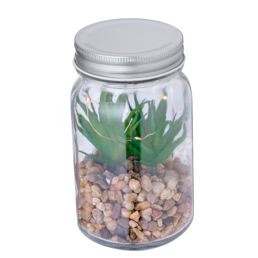 Planta Decorativa Kyal