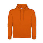 Sweatshirt C/Capuz