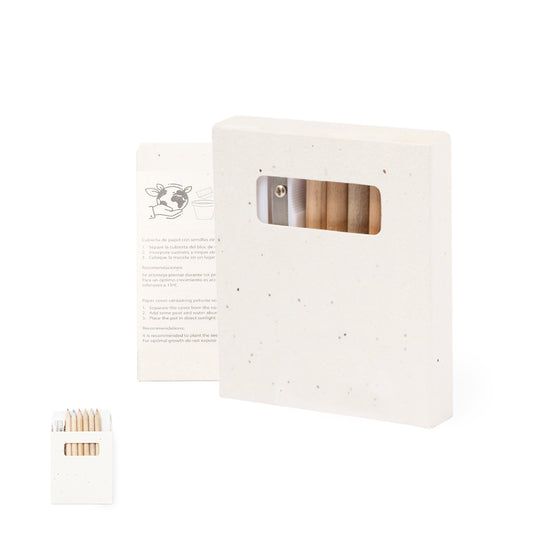 Set Sementes Papel de Semente Elaris