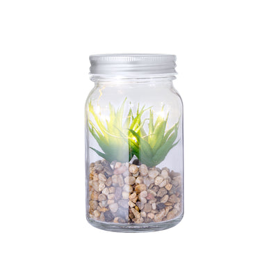 Planta Decorativa LED Kyal | Frasco Vidro Borossilicato 5 LEDs | Caixa Kraft | Brinde Decoração
