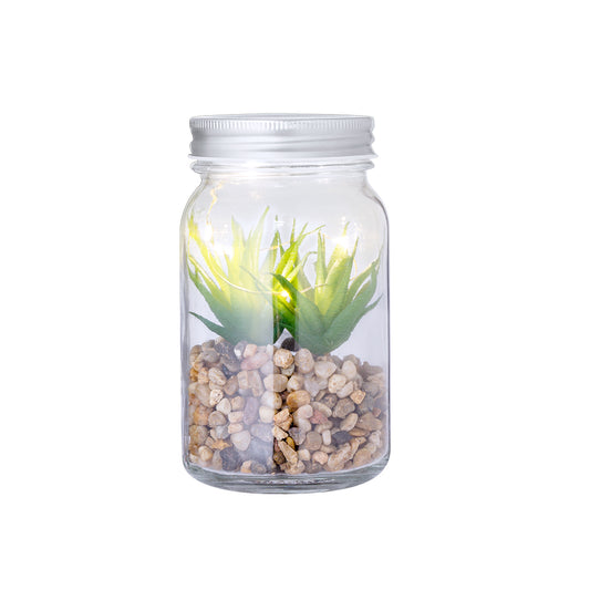 Planta Decorativa Kyal