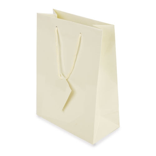 Bolsa Presente Plastificada — Brindes1001