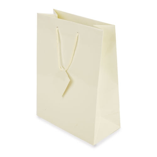 Bolsa Presente Plastificada — Brindes1001