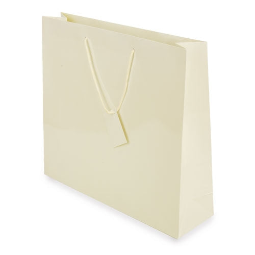 Bolsa Presente Plastificada — Brindes1001