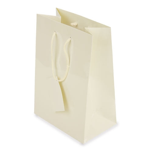 Bolsa Presente Plastificada — Brindes1001