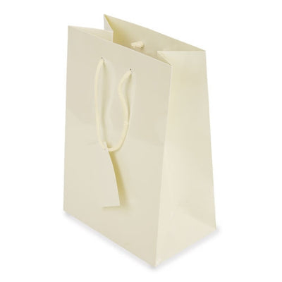 Bolsa Presente Plastificada